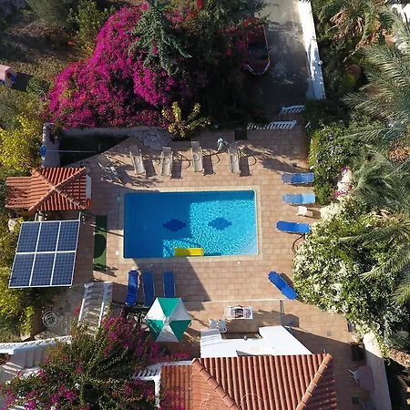 Coral Cypria Coral Bay Villas *