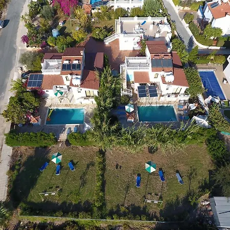 Coral Cypria Coral Bay Villas * Peyia